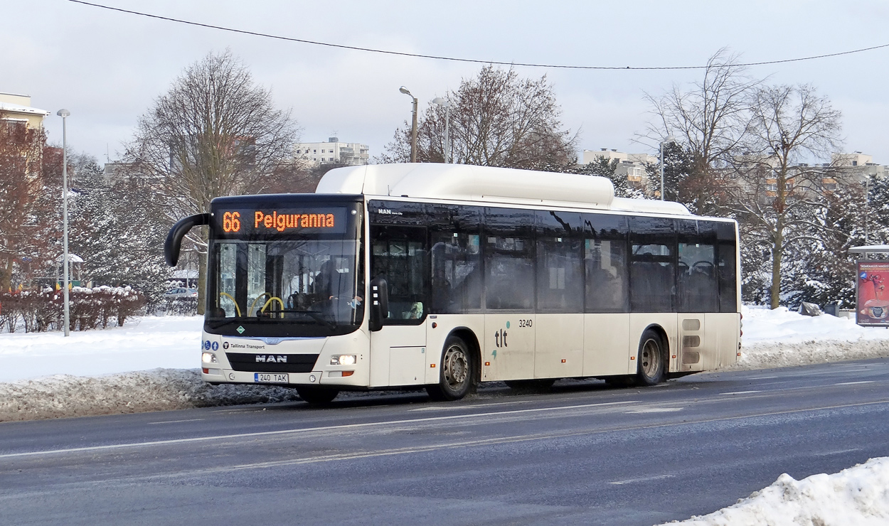 Эстония, MAN A21 Lion's City NL313 CNG № 3240