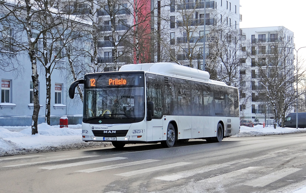 Эстония, MAN A21 Lion's City NL313 CNG № 3445