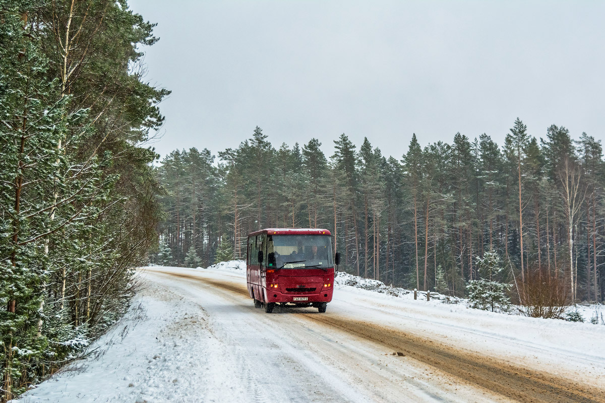 Vitebsk region, MAZ-256.170 Nr. 019879