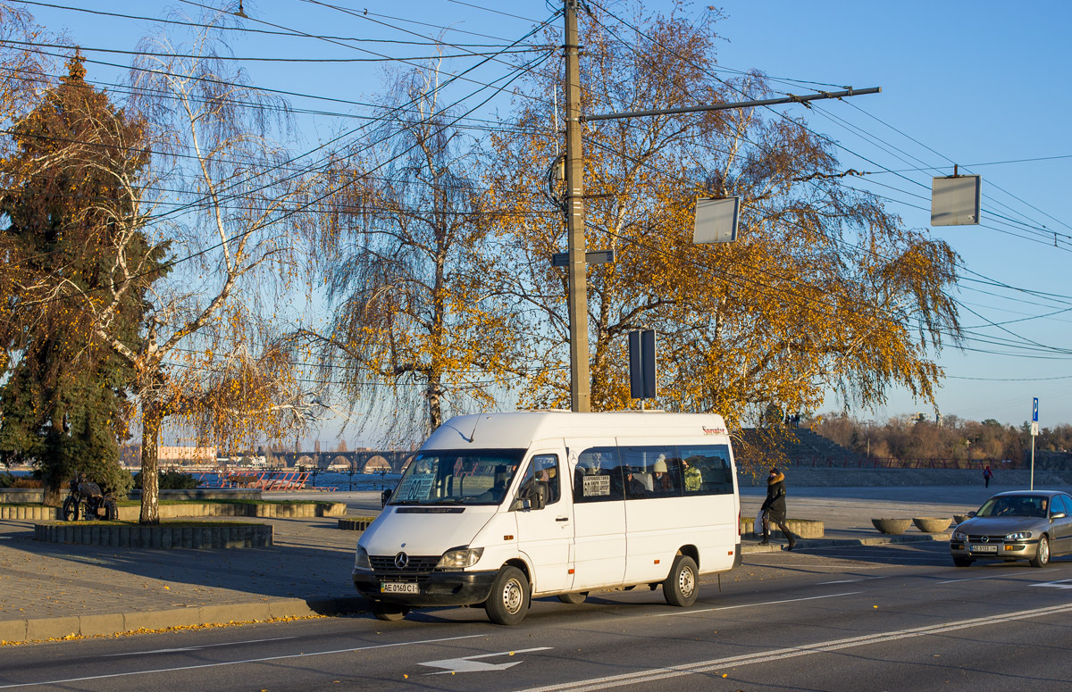 Днепропетровская область, Mercedes-Benz Sprinter W903 313CDI № AE 0160 CI