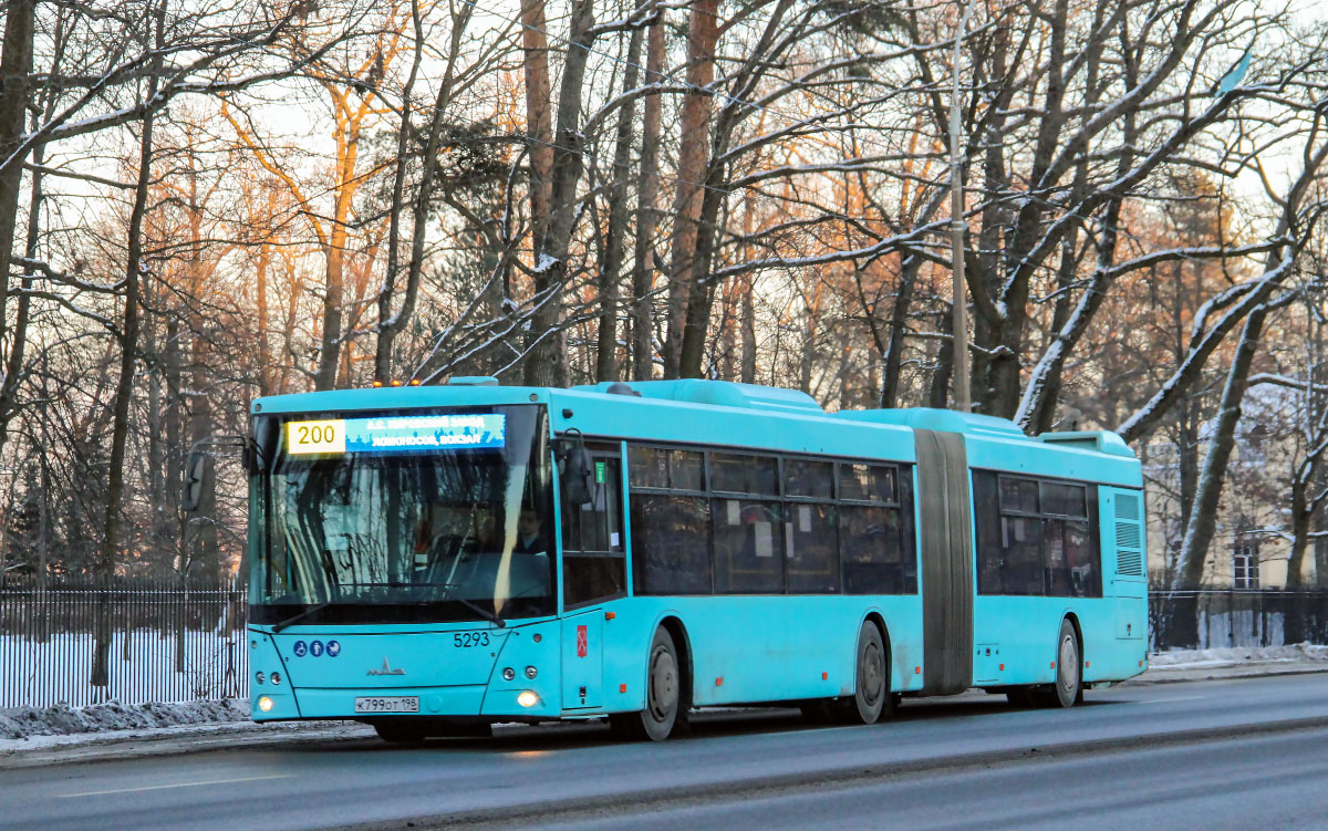 Санкт-Петербург, МАЗ-216.066 № 5293