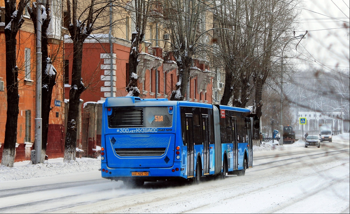 Кемеровская область - Кузбасс, ЛиАЗ-6213.65 № 536