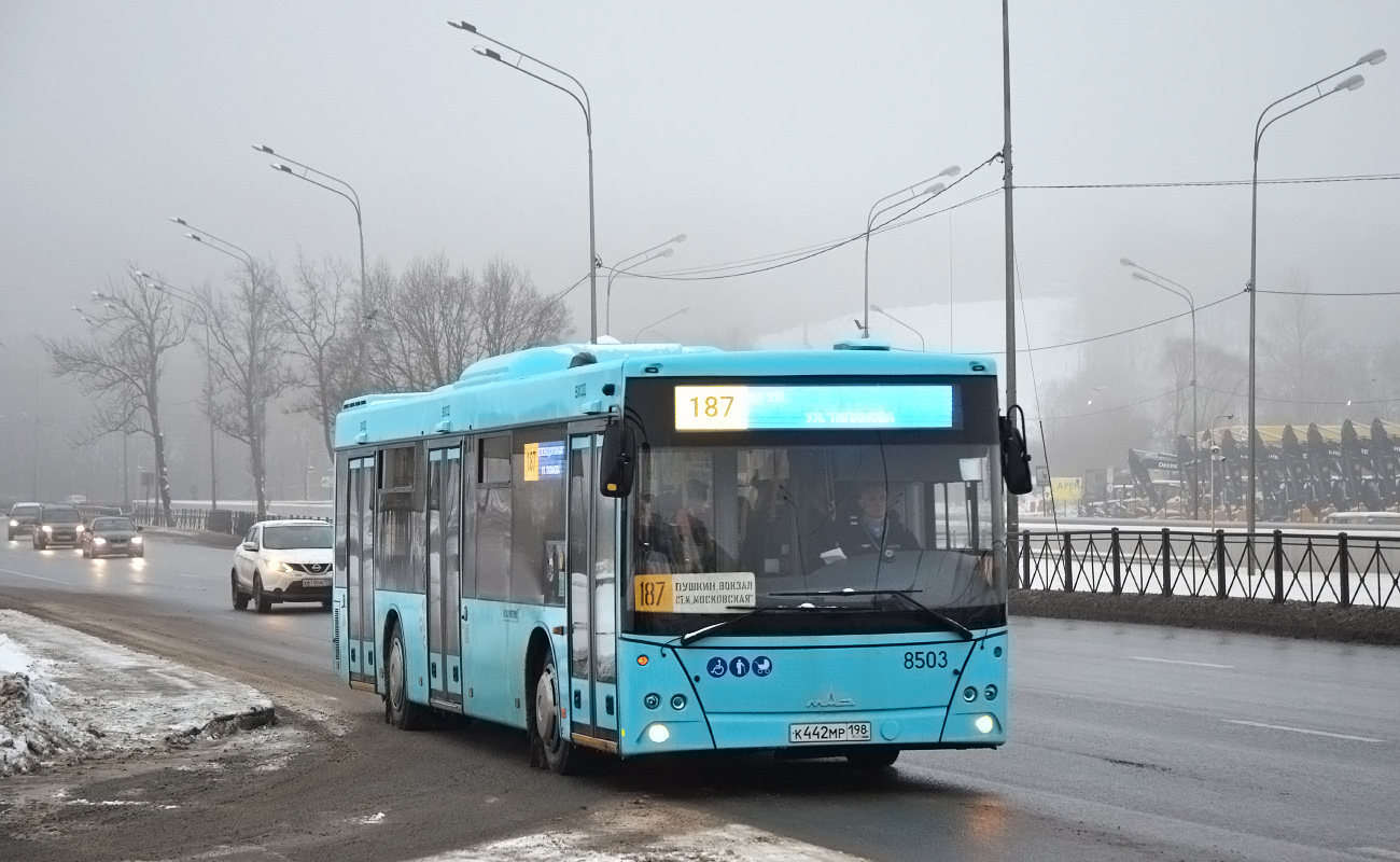 Sankt Petersburg, MAZ-203.016 Nr 8503