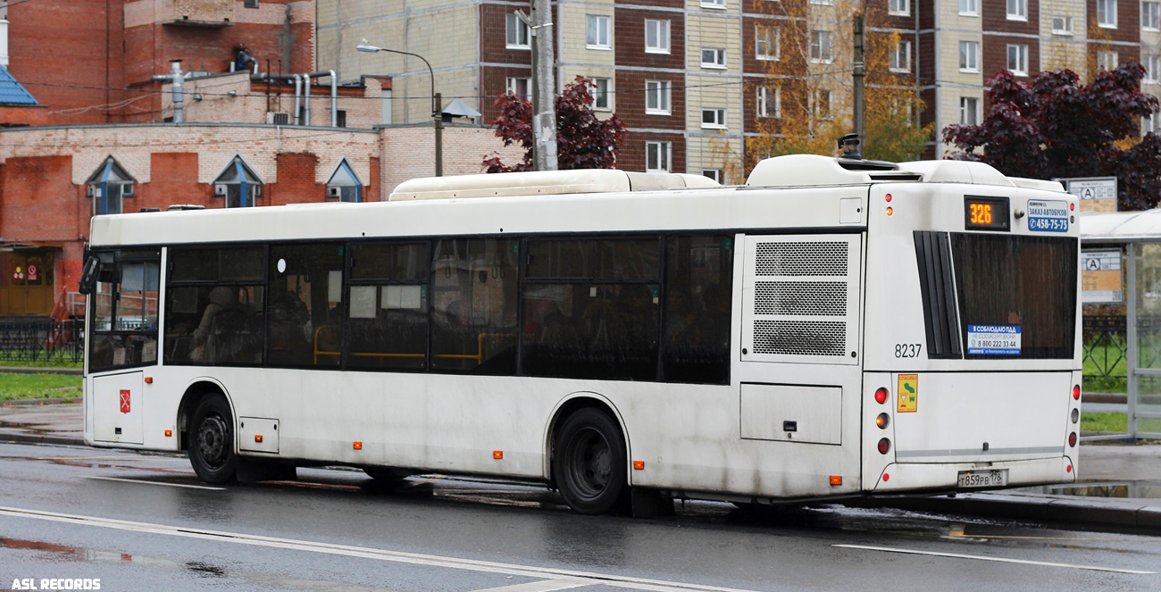 Санкт-Петербург, МАЗ-203.085 № 8237