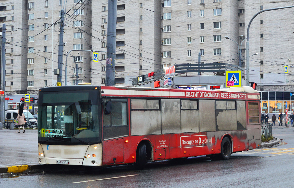 Санкт-Петербург, МАЗ-203.067 № В 310 КТ 178