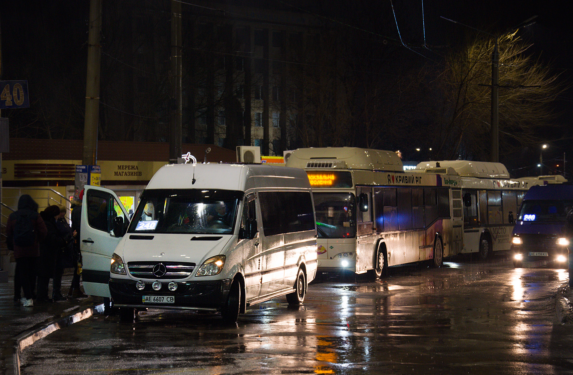 Днепропетровская область, Mercedes-Benz Sprinter W906 313CDI № AE 6607 CB