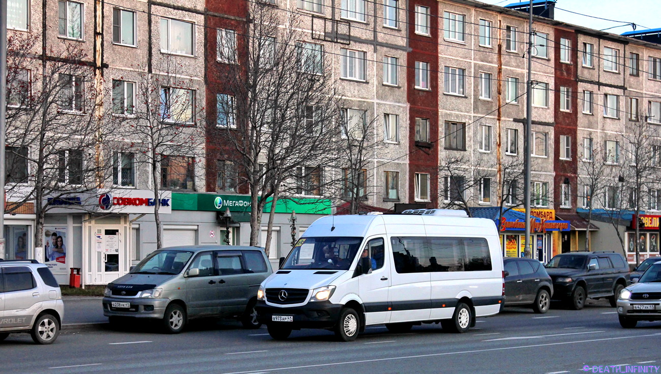 Камчатский край, Луидор-223602 (MB Sprinter) № В 973 АР 41