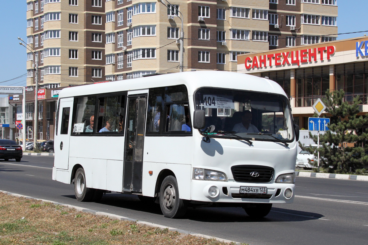 Краснодарский край, Hyundai County LWB C11 (ТагАЗ) № М 484 ХВ 123