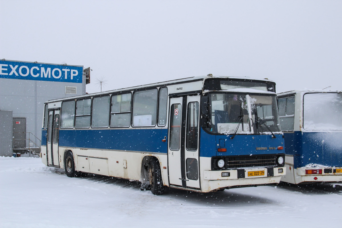 Архангельская область, Ikarus 263.10 № АЕ 022 29