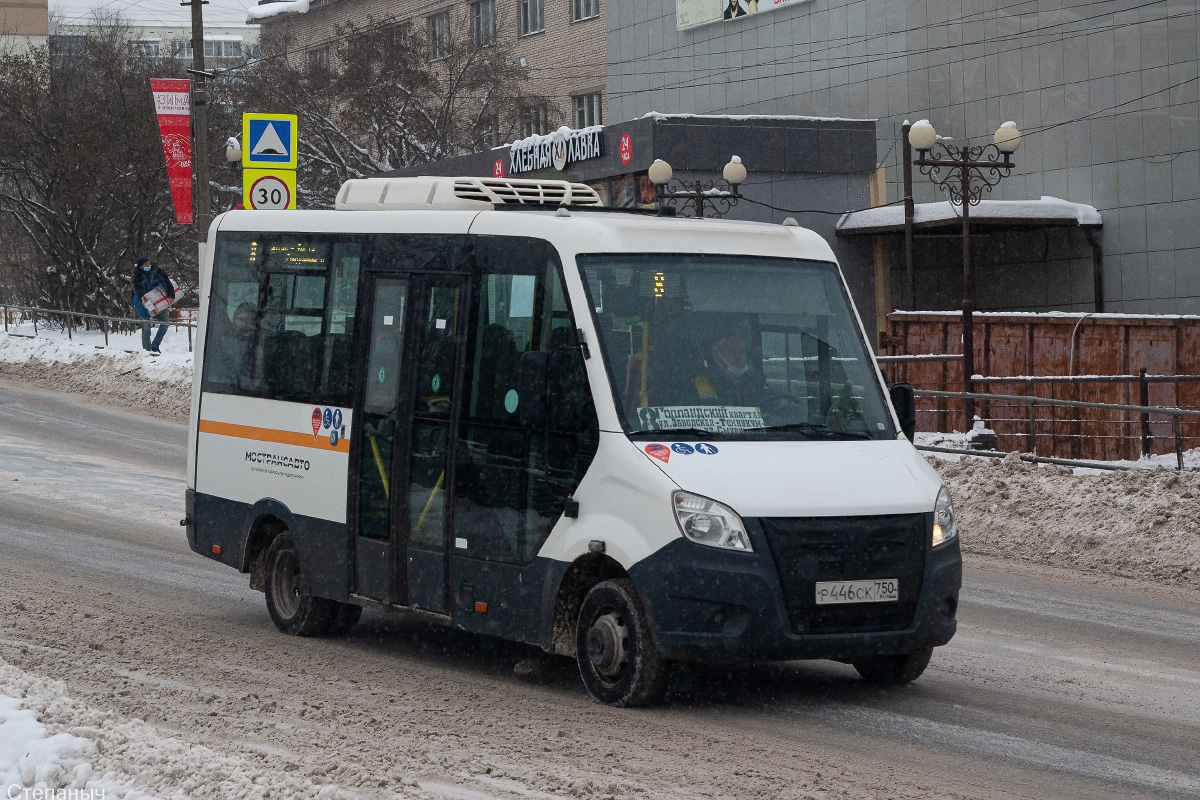 Московская область, Луидор-2250DS (ГАЗ Next) № 4460