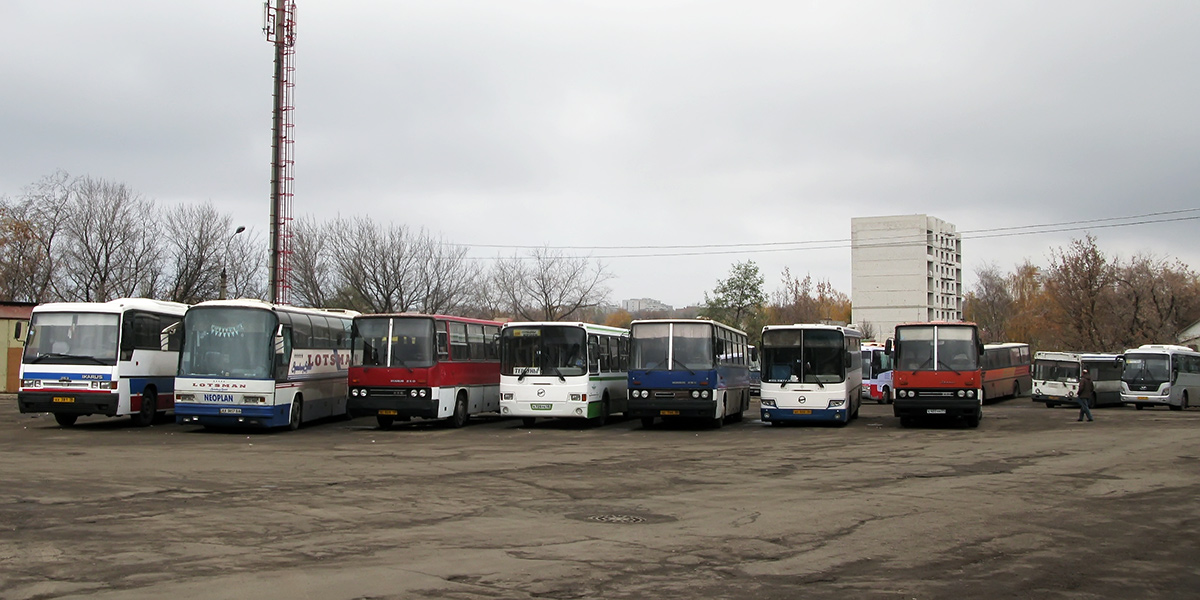 Воронежская область — Автобусные вокзалы, станции, конечные остановки и АТП