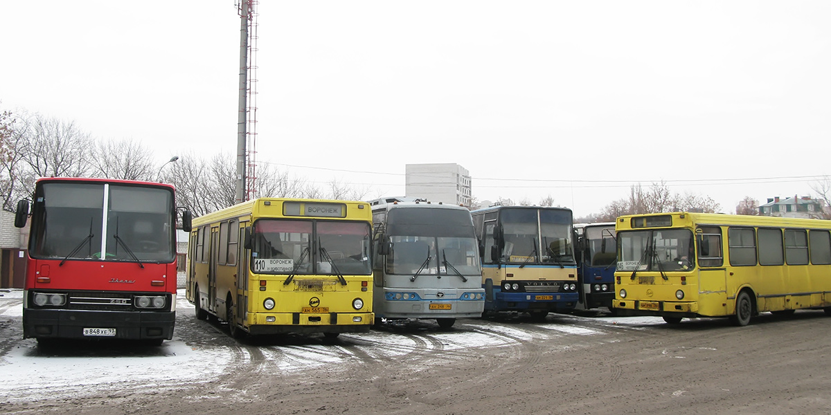 Obwód woroneski, Ikarus 256.74 Nr АС 744 36; Obwód woroneski — Bus stations