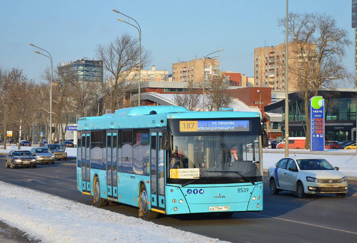 Санкт-Петербург, МАЗ-203.016 № 8539